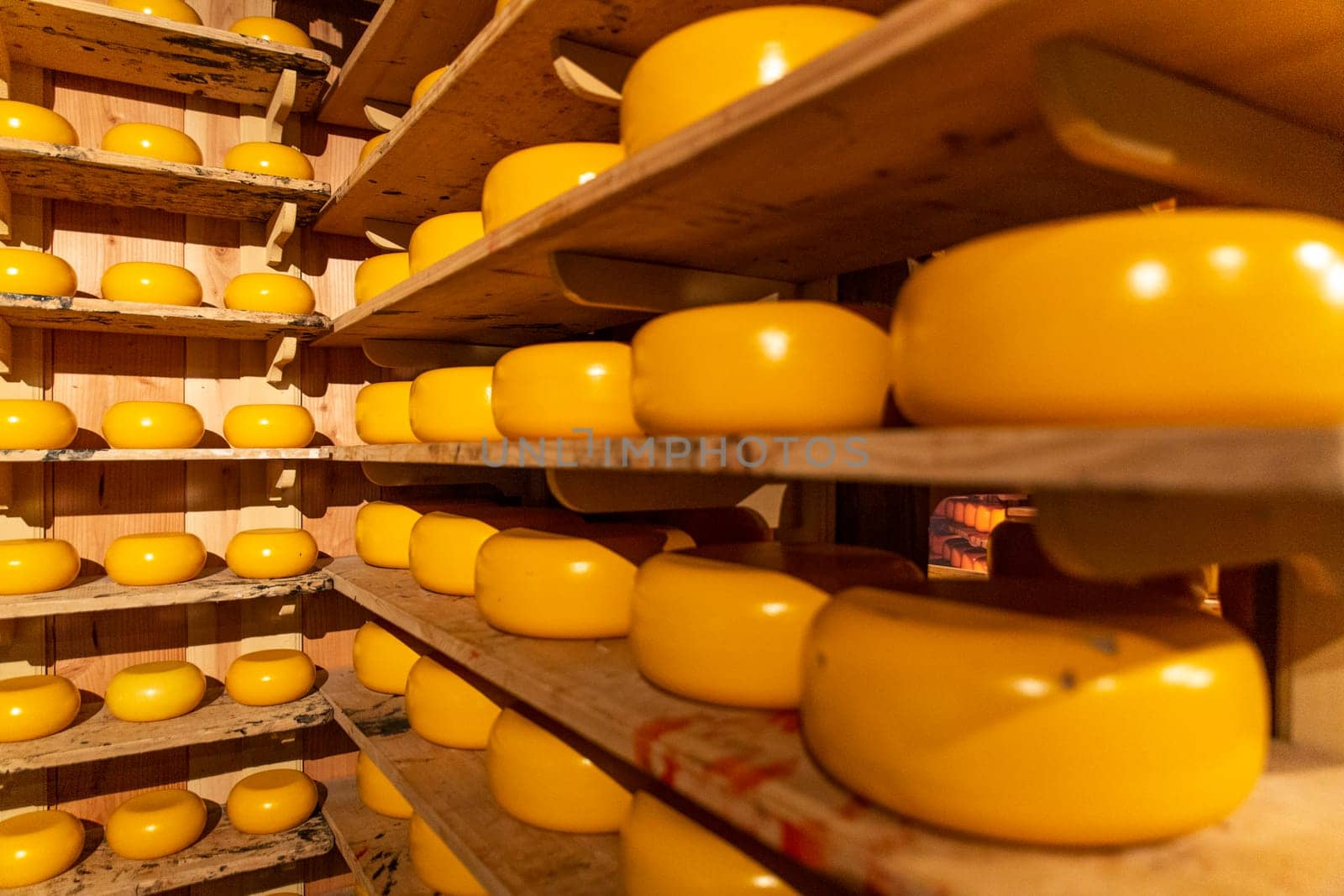 Dutch cheese wheels are stacked and available for purchase by the general public. by contas
