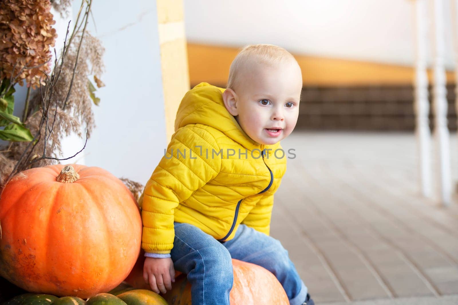 A little boy in a yellow jacket sits on large pumpkins.
