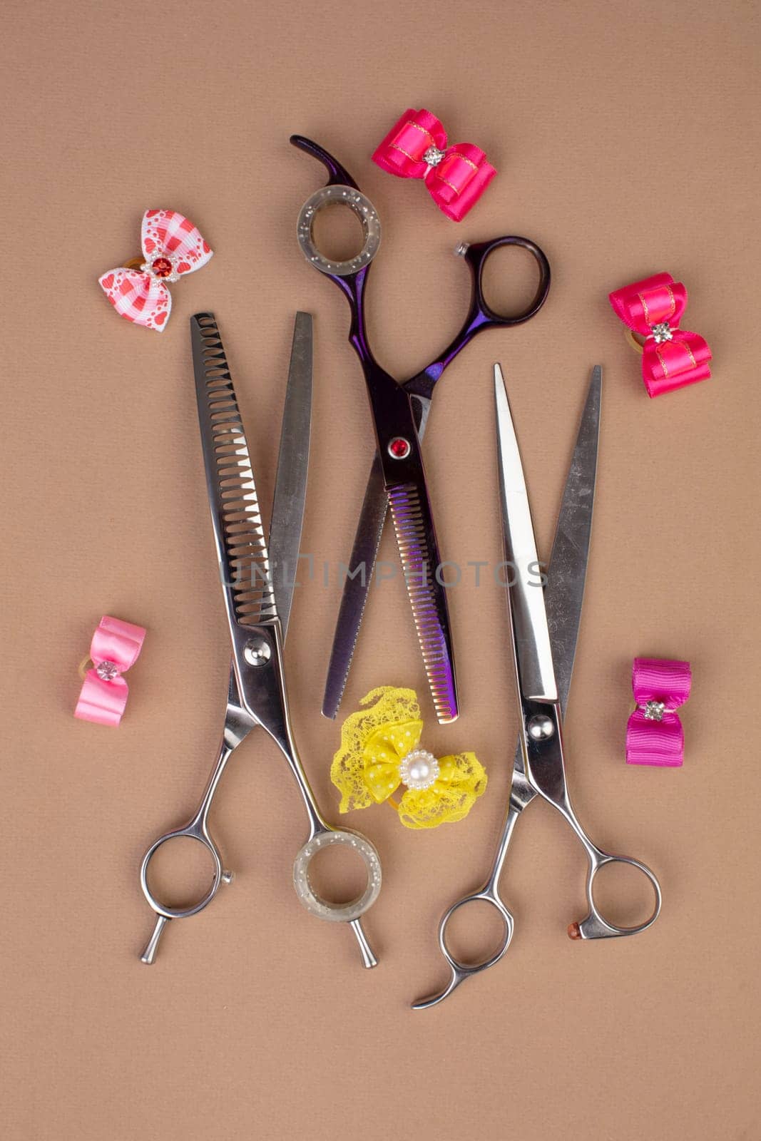 Tool for the groomer on a beige background. Dog grooming accessories. Combs and brushes for animals. View from above