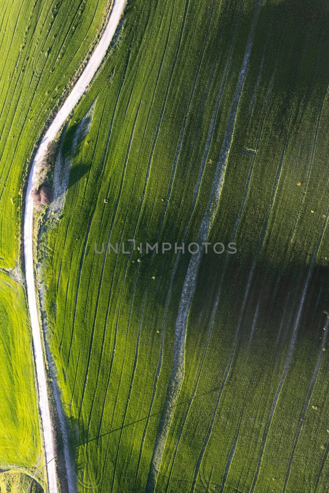 Aerial photographic documentation of the green color of a field in spring