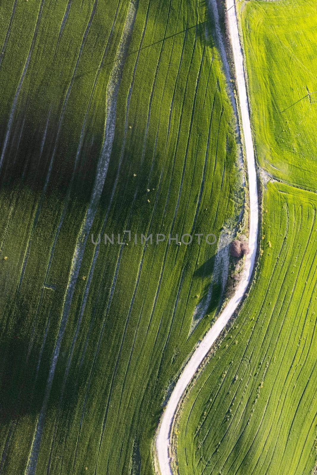 Aerial photographic documentation of the green color of a field in spring