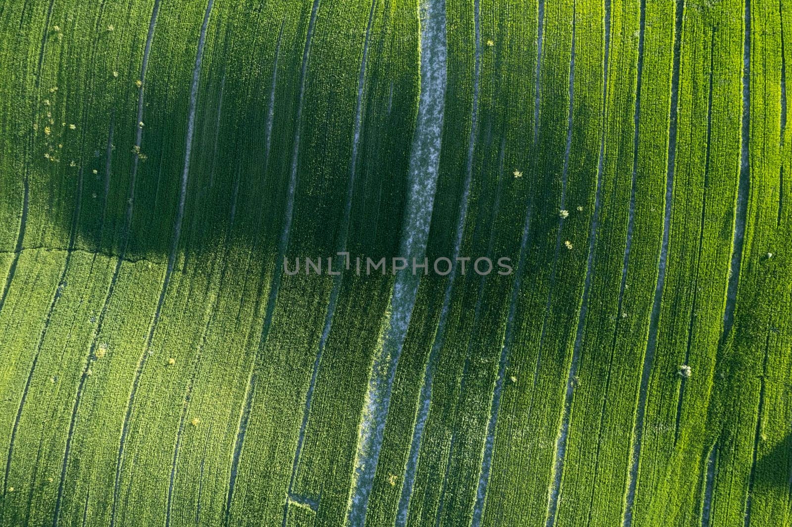 Aerial photographic documentation of the green color of a field in spring