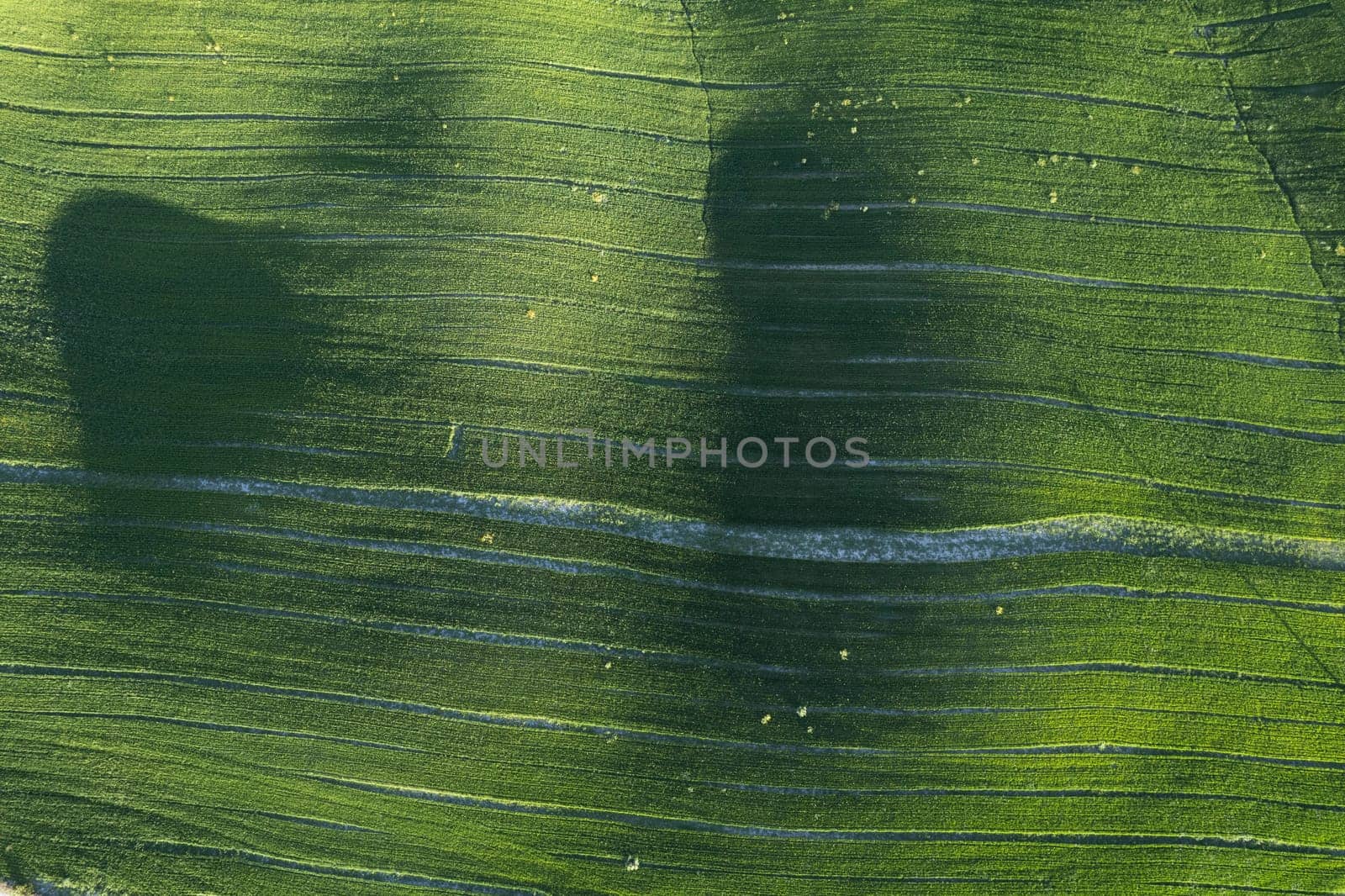 Aerial photographic documentation of the green color of a field in spring