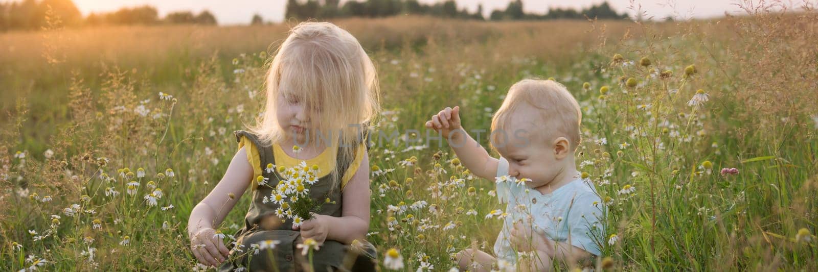 A little boy and a girl are picking flowers in a chamomile field. The concept of walking in nature, freedom and a healthy lifestyle.