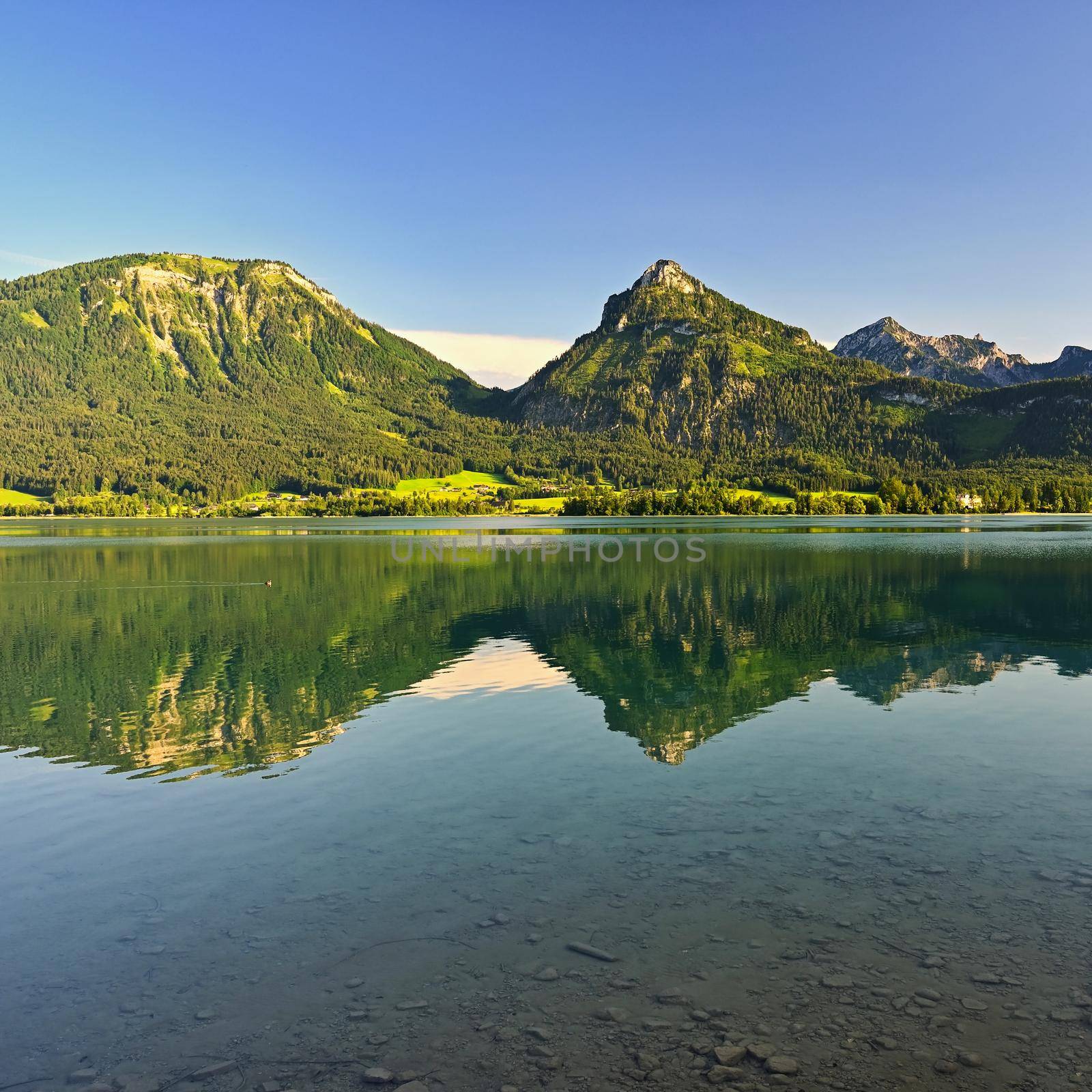 Wolfgangsee lake in summer. Beautiful Austrian landscape with lake and mountains in the Alps. by Montypeter