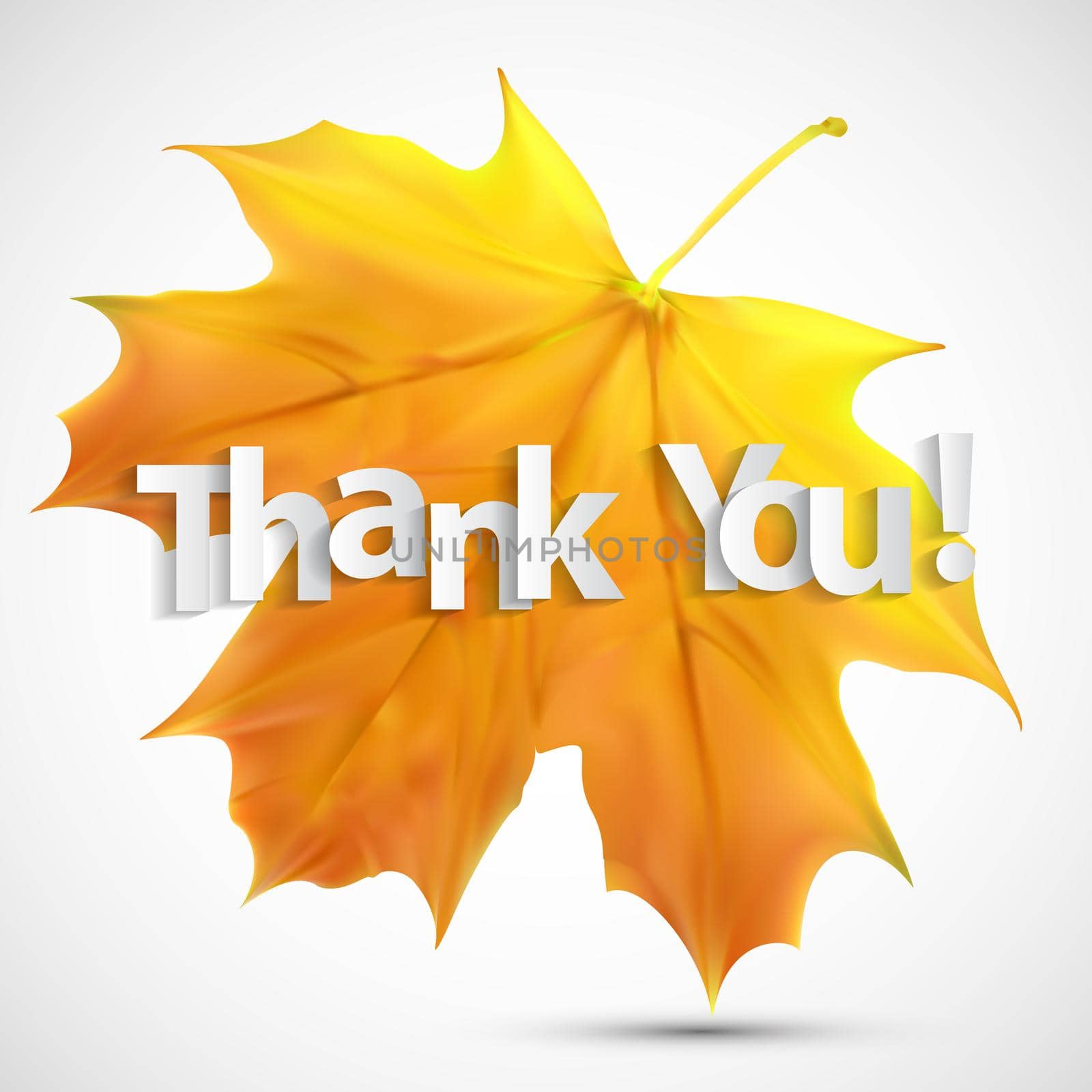 Paper art of thank you lettering background. Vector Illustration EPS10