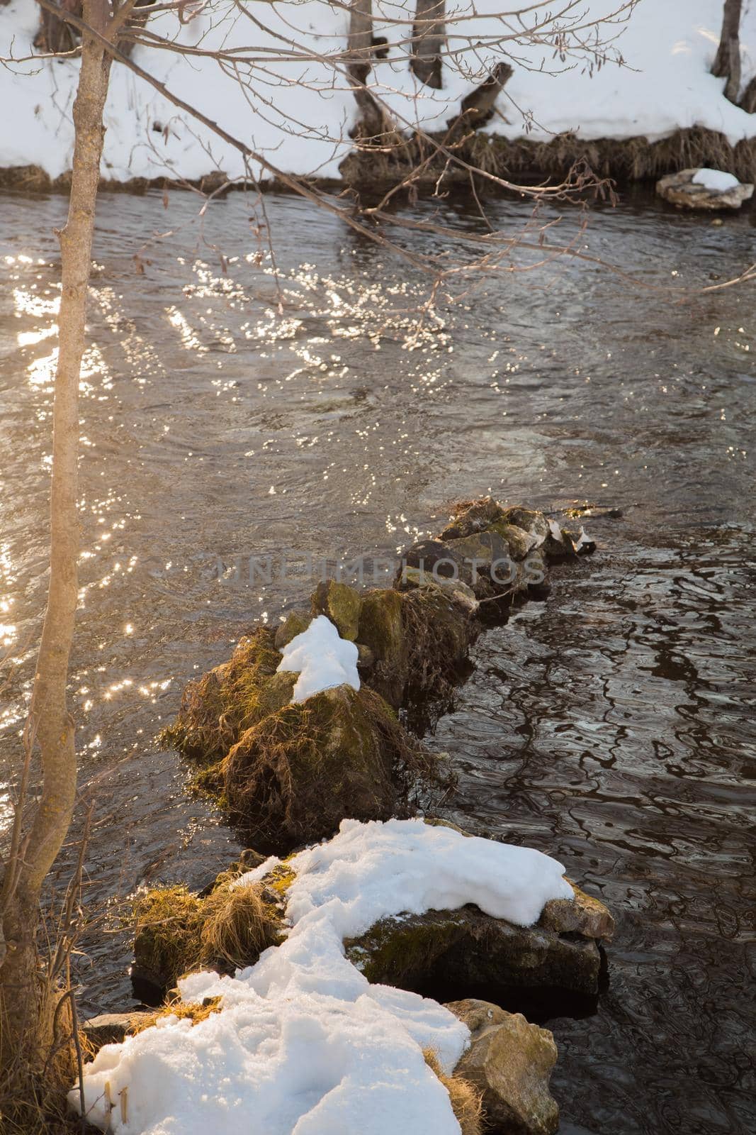 Winter landscape of a river with sun glare on the water and snow-covered banks. Dry yellow grass hangs over the water and long shadows of trees at sunset.