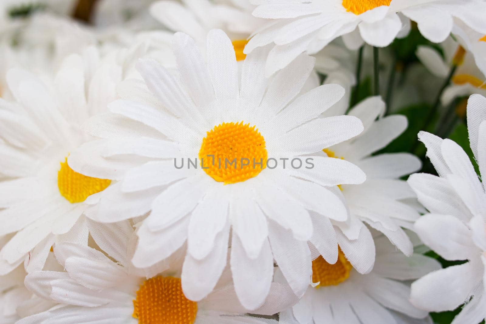 Artificial white chamomile flowers close up, macro photo