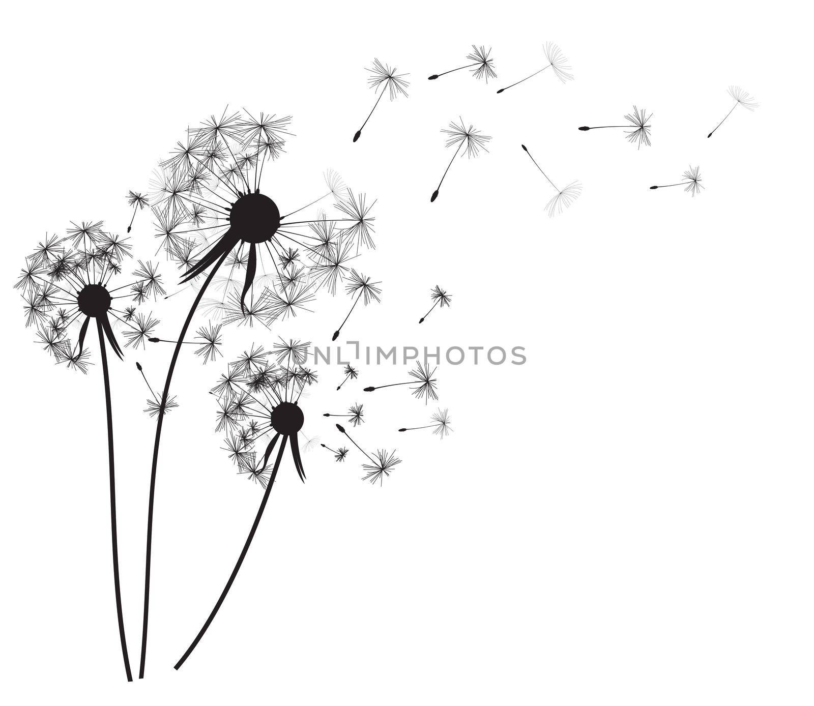 Abstract dandelion background vector illustration by yganko