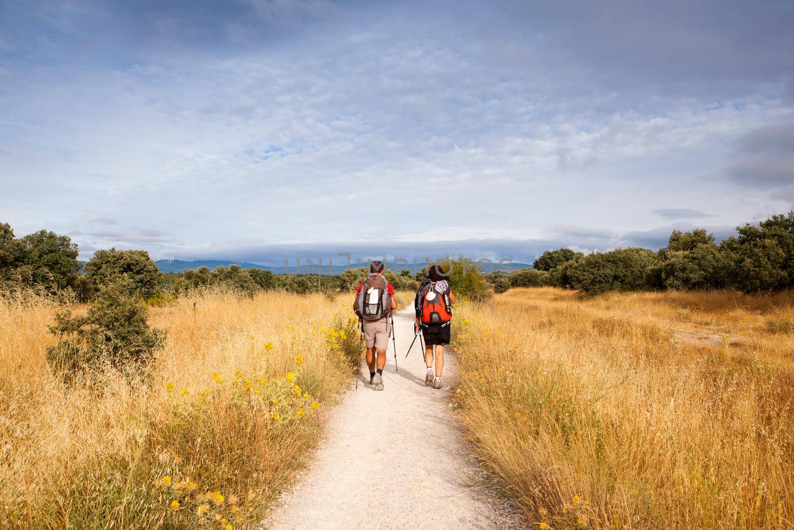 ASTORGA COUNTRYSIDE, SPAIN - AUGUST, 04: Pilgrimns along the way of St. James on August 03, 2016