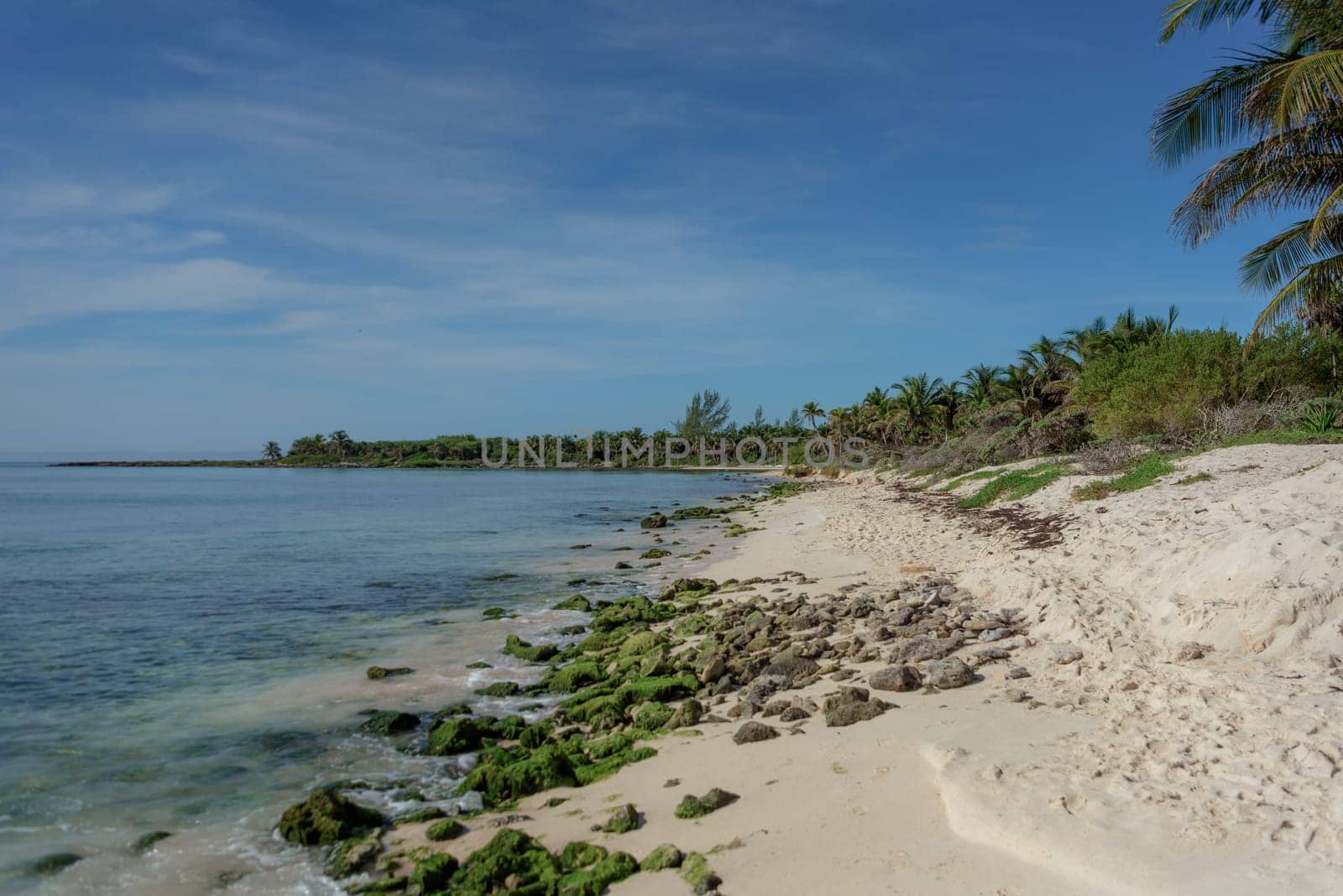 Sea shore on the Caribbean beach in the Zona Hoteleria in Cancun Quintana Roo Mexico.