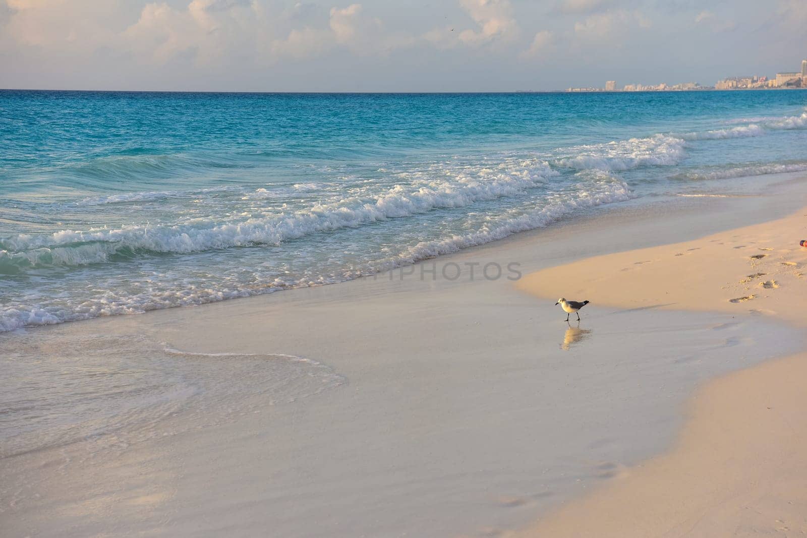 Sea shore on the Caribbean beach in the Zona Hoteleria in Cancun Quintana Roo Mexico.