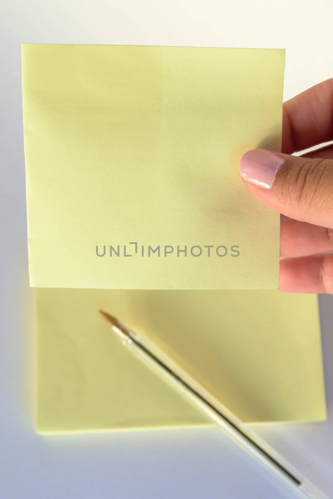 Woman's hand with painted nails holding blank letter paper on pure white background.