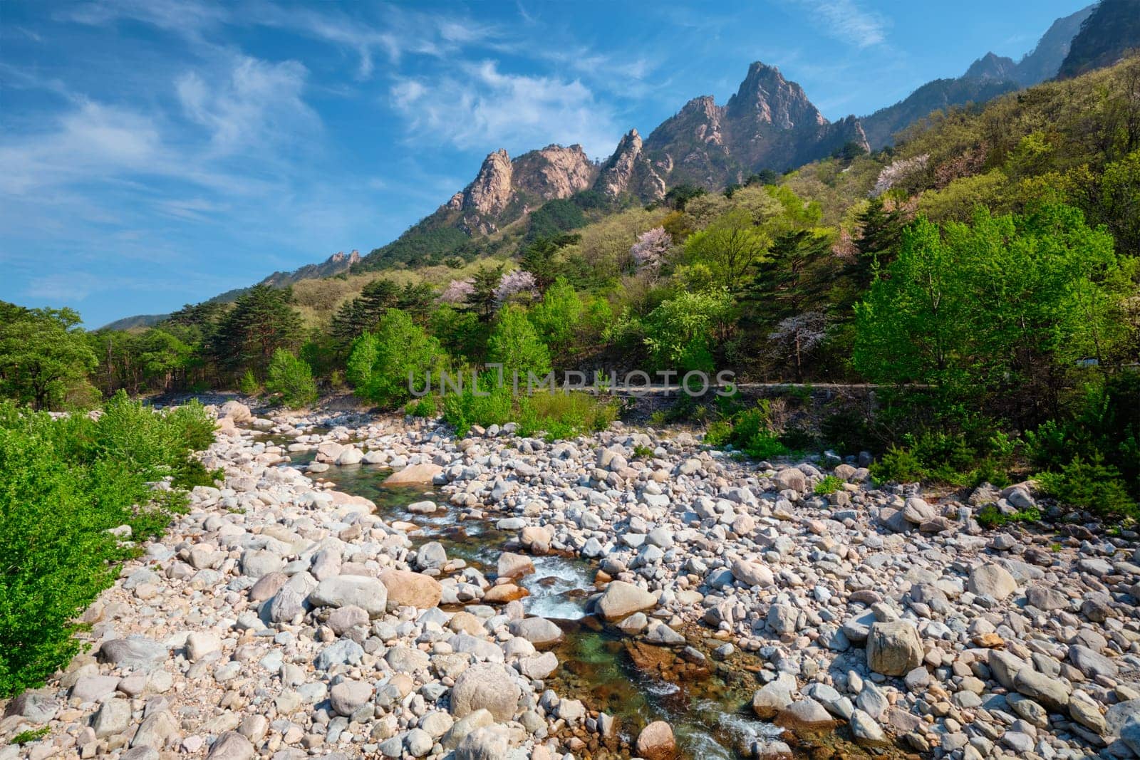 Landscape with stream and trees in Seoraksan National Park, South Korea