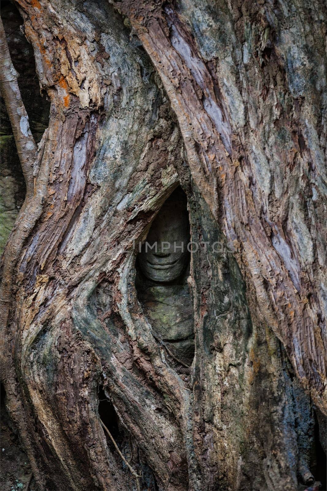 Travel Cambodia concept background - ancient statue covered under tree roots, Ta Prohm temple, Angkor, Cambodia