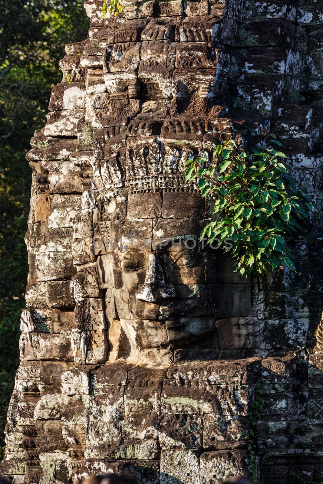 Face of Bayon temple, Angkor, Cambodia by dimol