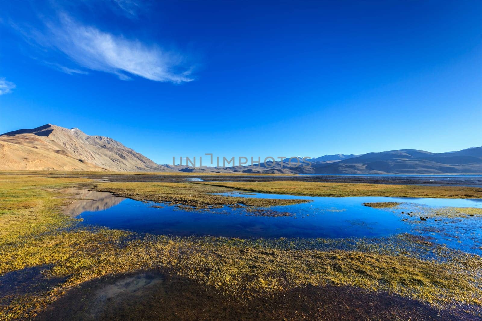 Tso Moriri lake in Himalayas, Ladakh, India by dimol