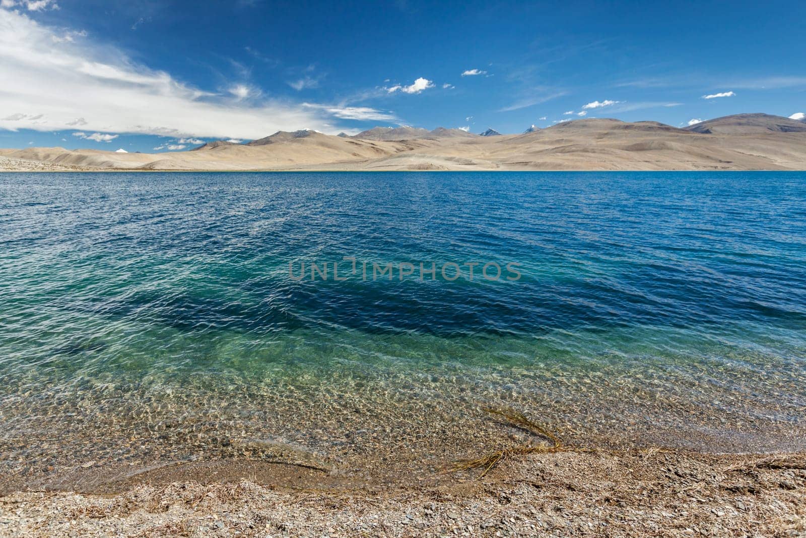 Tso Moriri lake in Himalayas, Ladakh, India