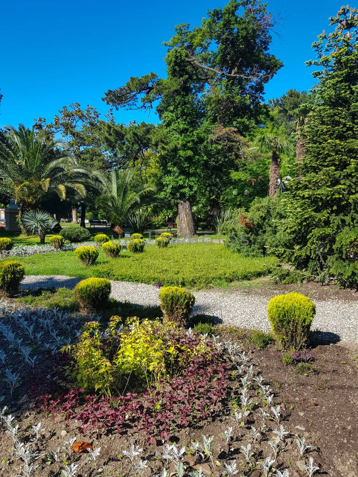A beautiful huge garden park with flowers growing on round flower beds in the middle of garden paths, against a background of tropical palm trees, bright sunlight.
