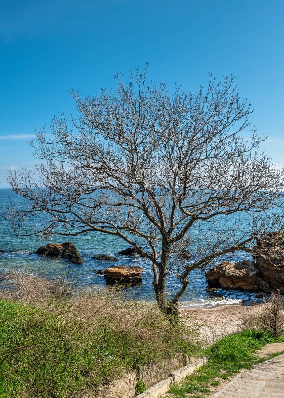 Wild Beach in Odessa, Ukraine by Multipedia