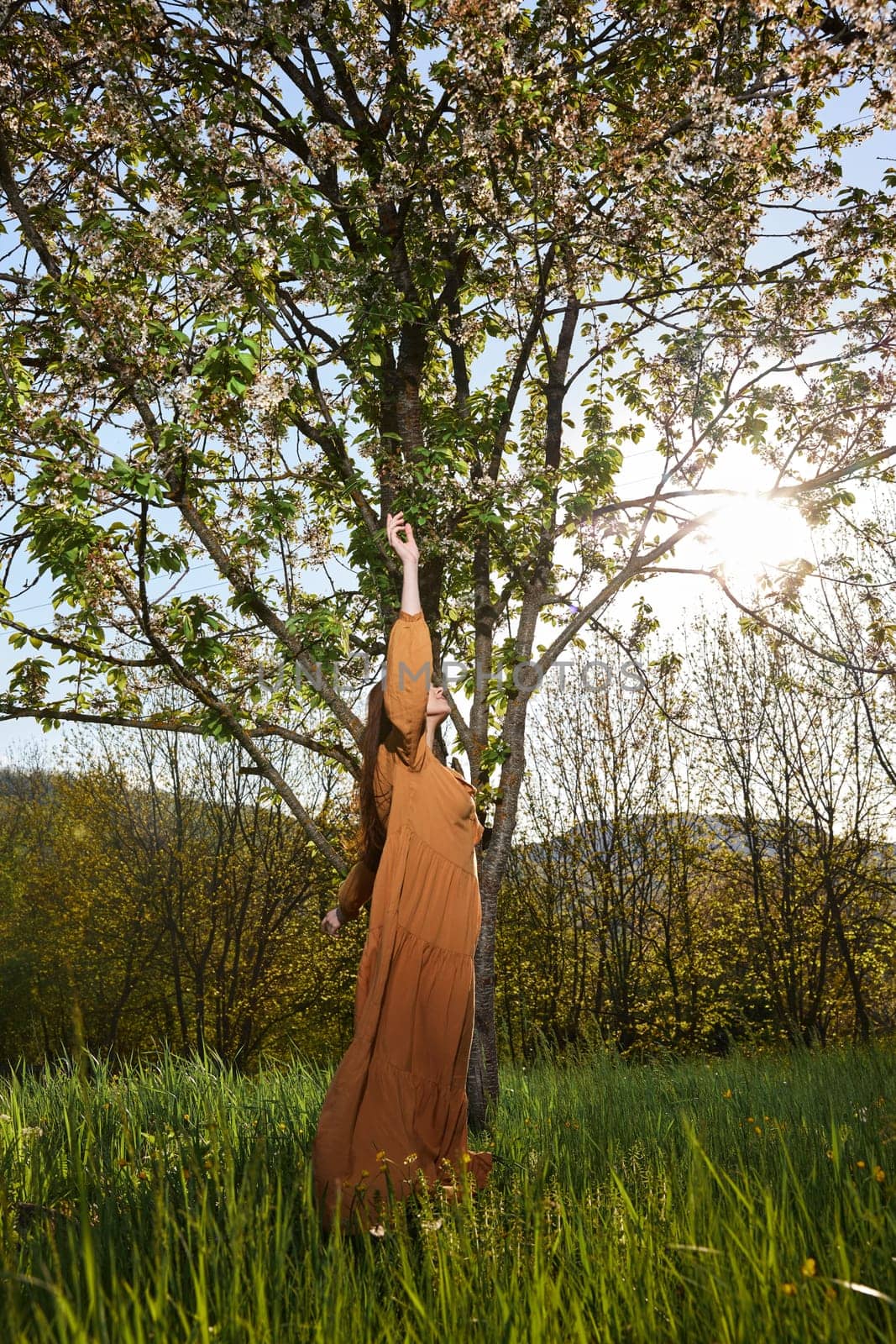 a slender woman with long red hair stands in the countryside near a flowering tree in a long orange dress and standing sideways to the camera reaches for the branches. High quality photo