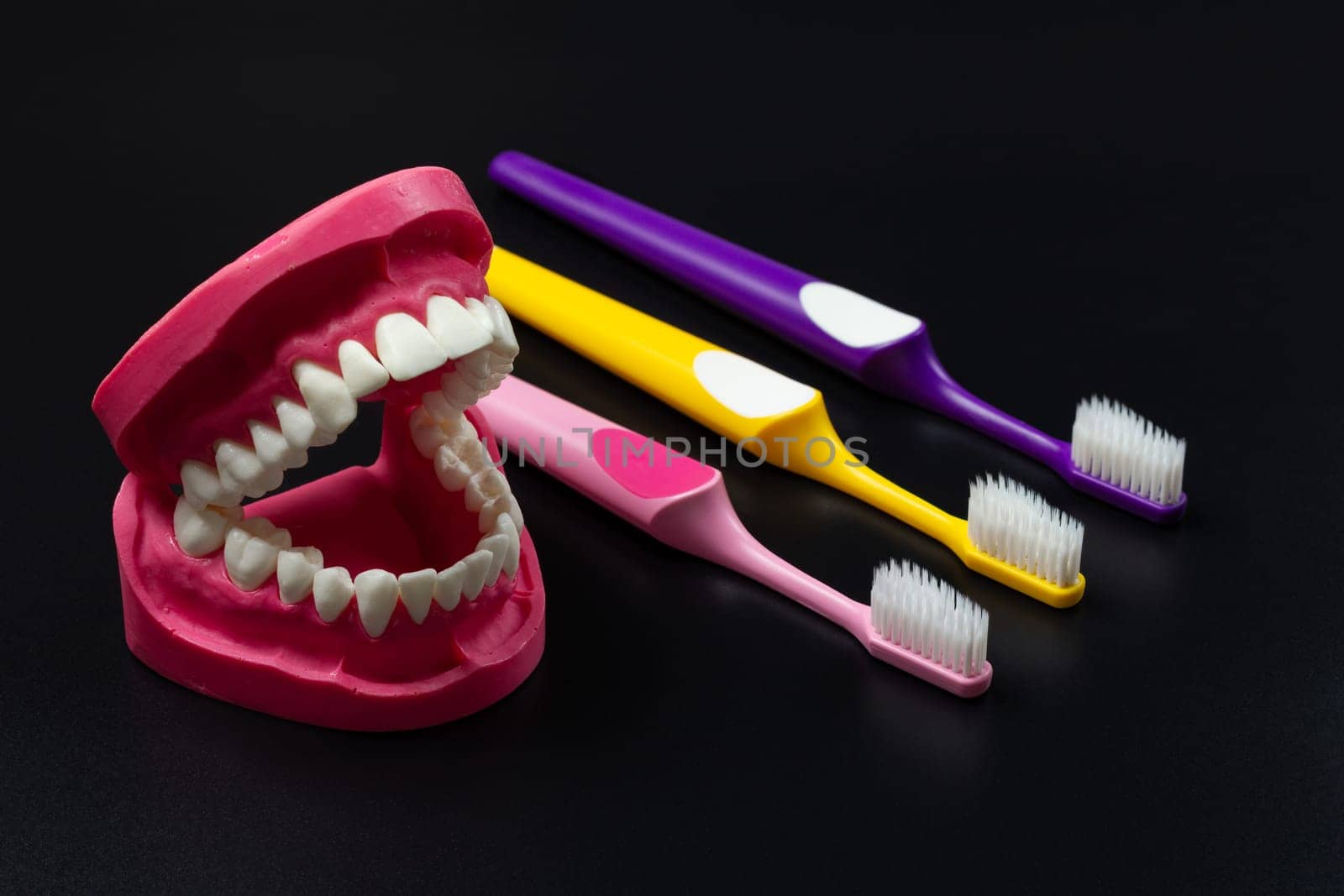 Human jaw layout and the toothbrushes on the black background.