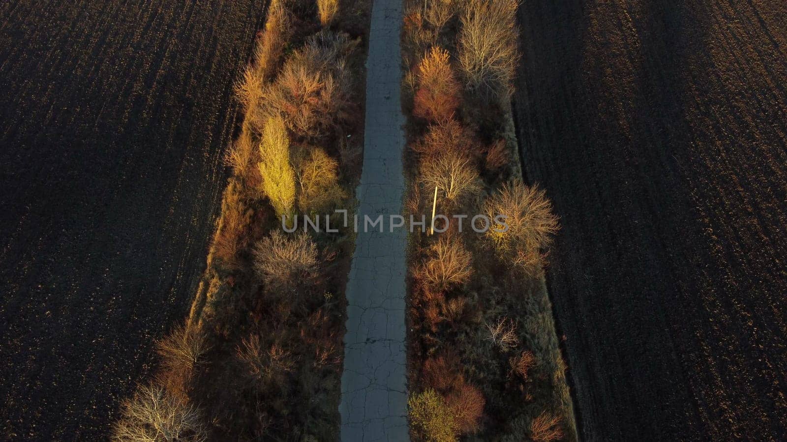 Beautiful landscape view old asphalt road with trees and shadows between large plowed agricultural fields of black soil on sunny autumn evening. Flying over dug agrarian fields of earth. Aerial drone