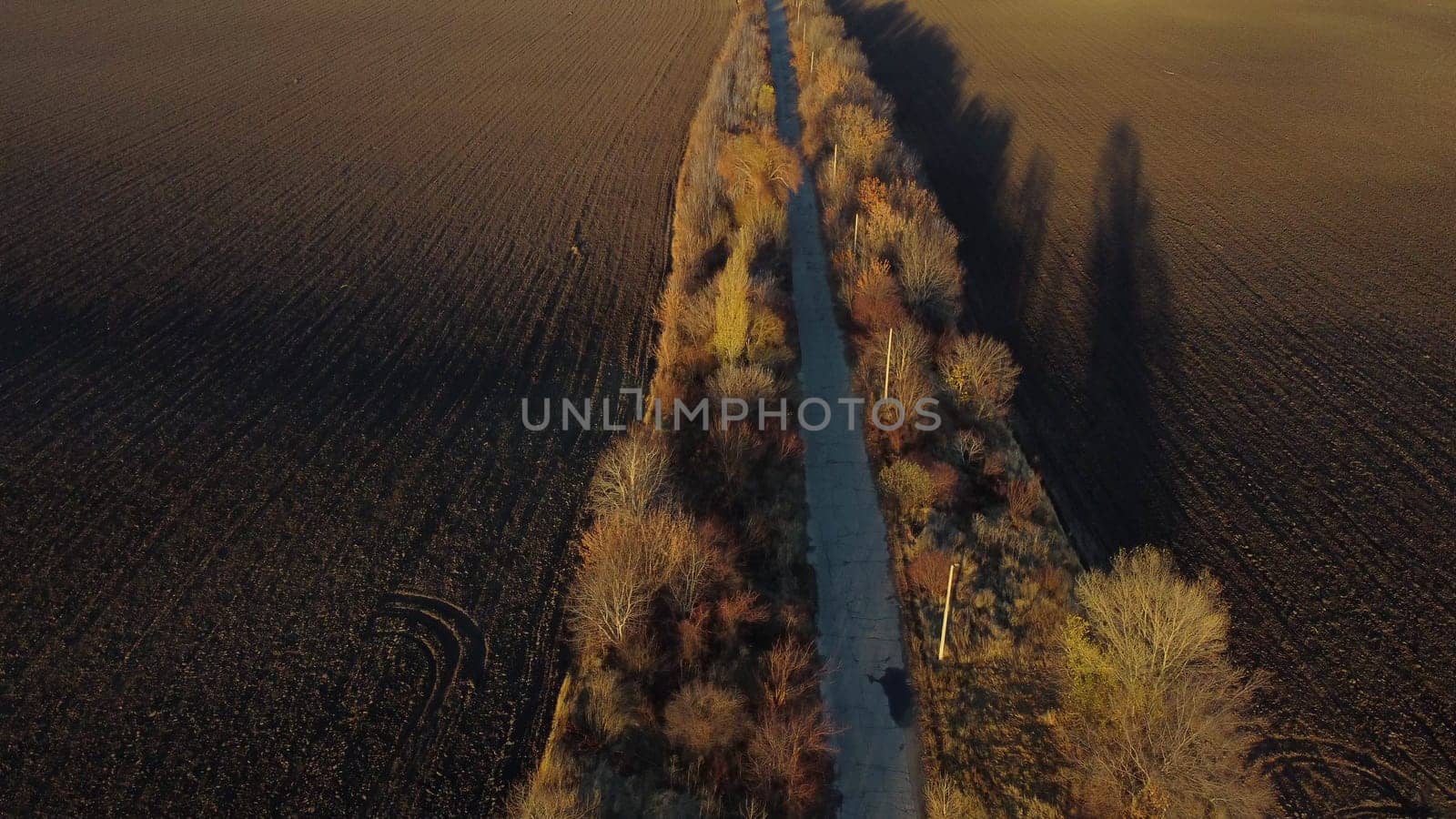 Beautiful landscape view old asphalt road with trees and shadows between large plowed agricultural fields of black soil on sunny autumn evening. Flying over dug agrarian fields of earth. Aerial drone