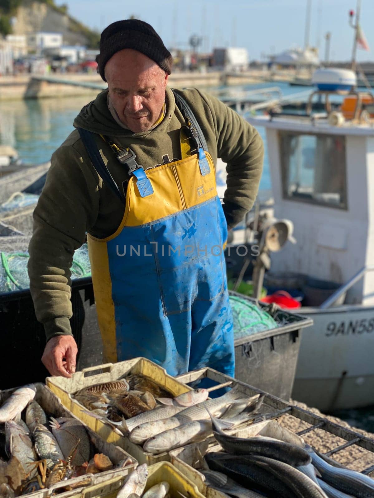 Numana, Italy - April 7 2023 fishermen selling fresh fish from adriatic sea ad seafood in the market early in the morning at the harbor dock