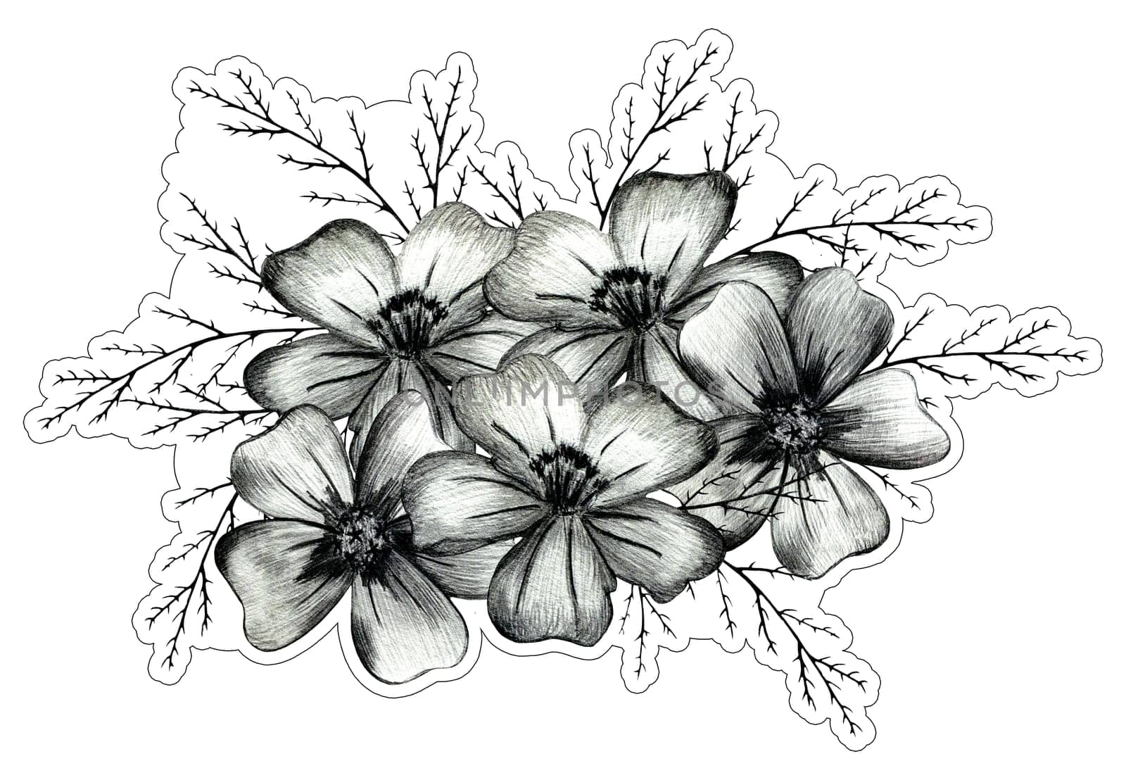 Black and White Hand Drawn Marigold Flower Composition. by Rina_Dozornaya