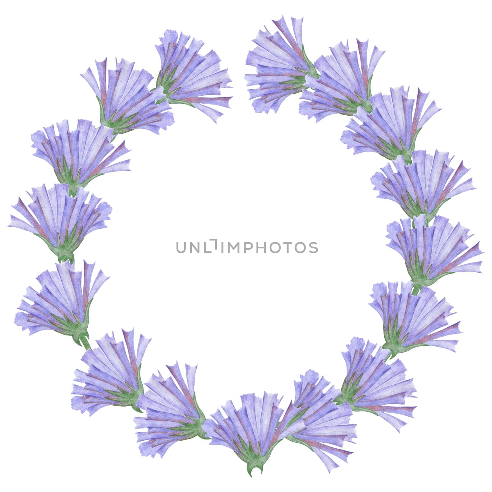 Cute Hand Drawn Flower Wreath with Blue Flowers. Elegant Floral Circle Frame with Lavender Flowers and Green Leaves on White Background. Decorative Elements for Design.