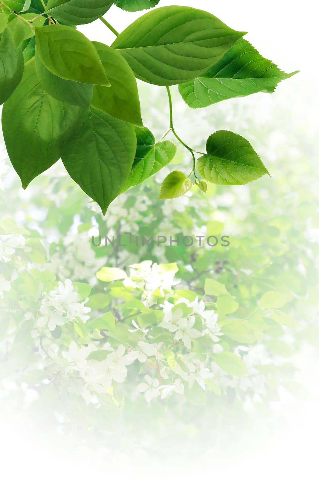 Ecology concept. Nice abstract freshness green leaves