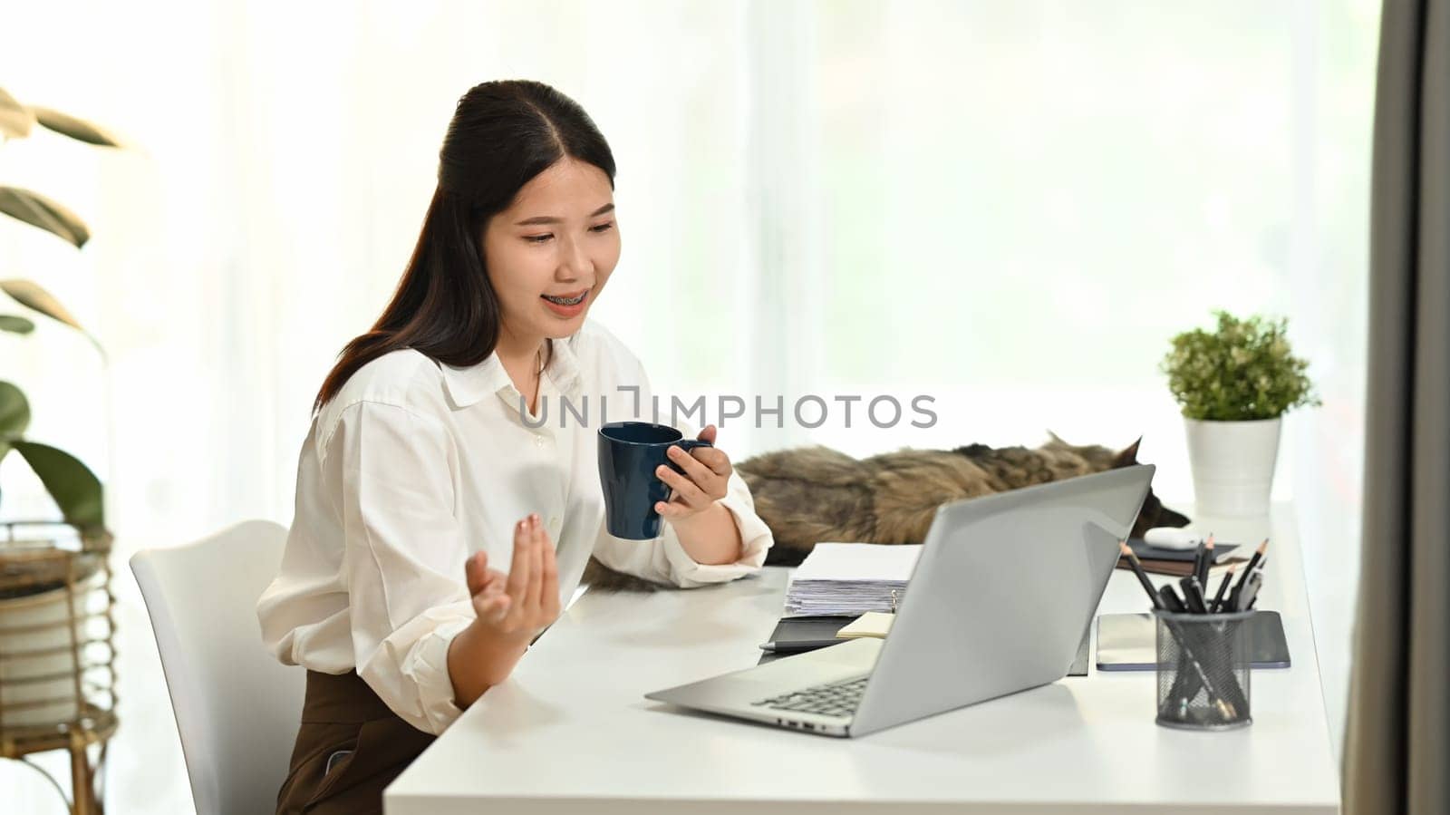 Young woman video conference on laptop computer at home with domestic cat on desk. High quality photo