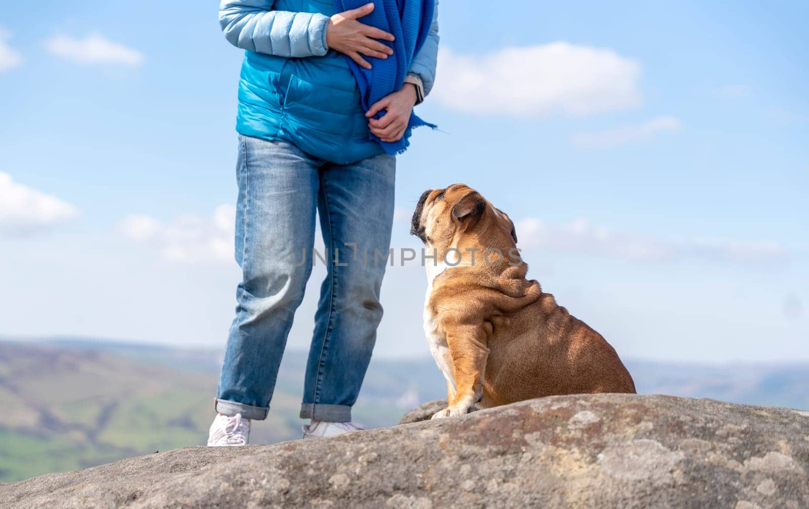 A happy woman with English bulldogs on top of mountain at Peak District on warm sunny day. Dog training. Free time concept