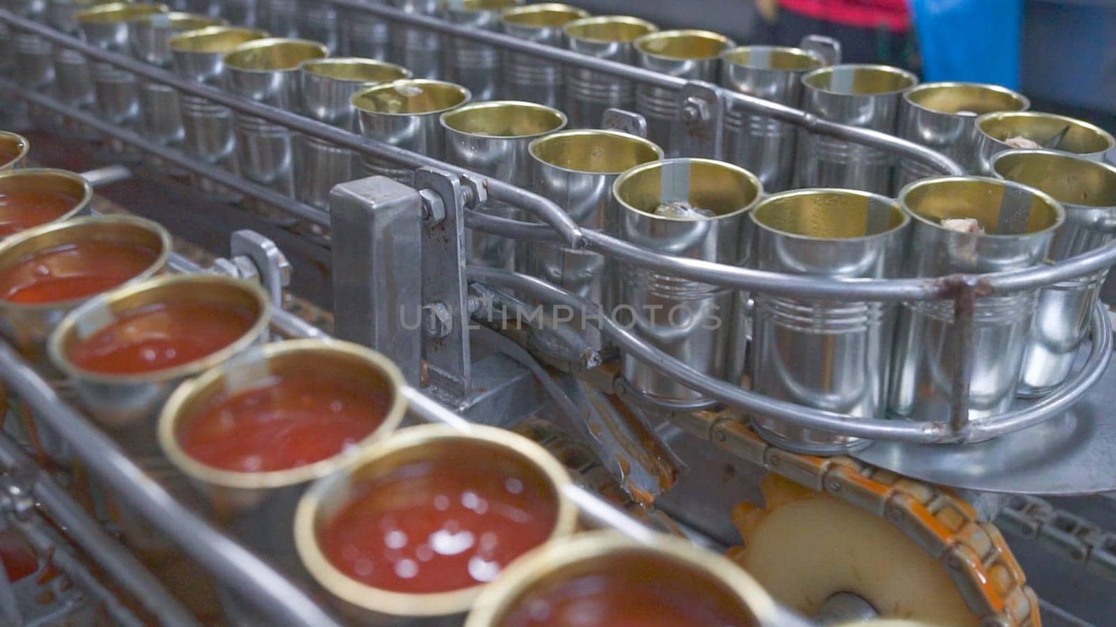 Canned fish factory. Food industry.  Many can of sardines on a conveyor belt. Sardines in red tomato sauce in tinned cans at food factory. Food processing production line. Food manufacturing industry. by Fahroni