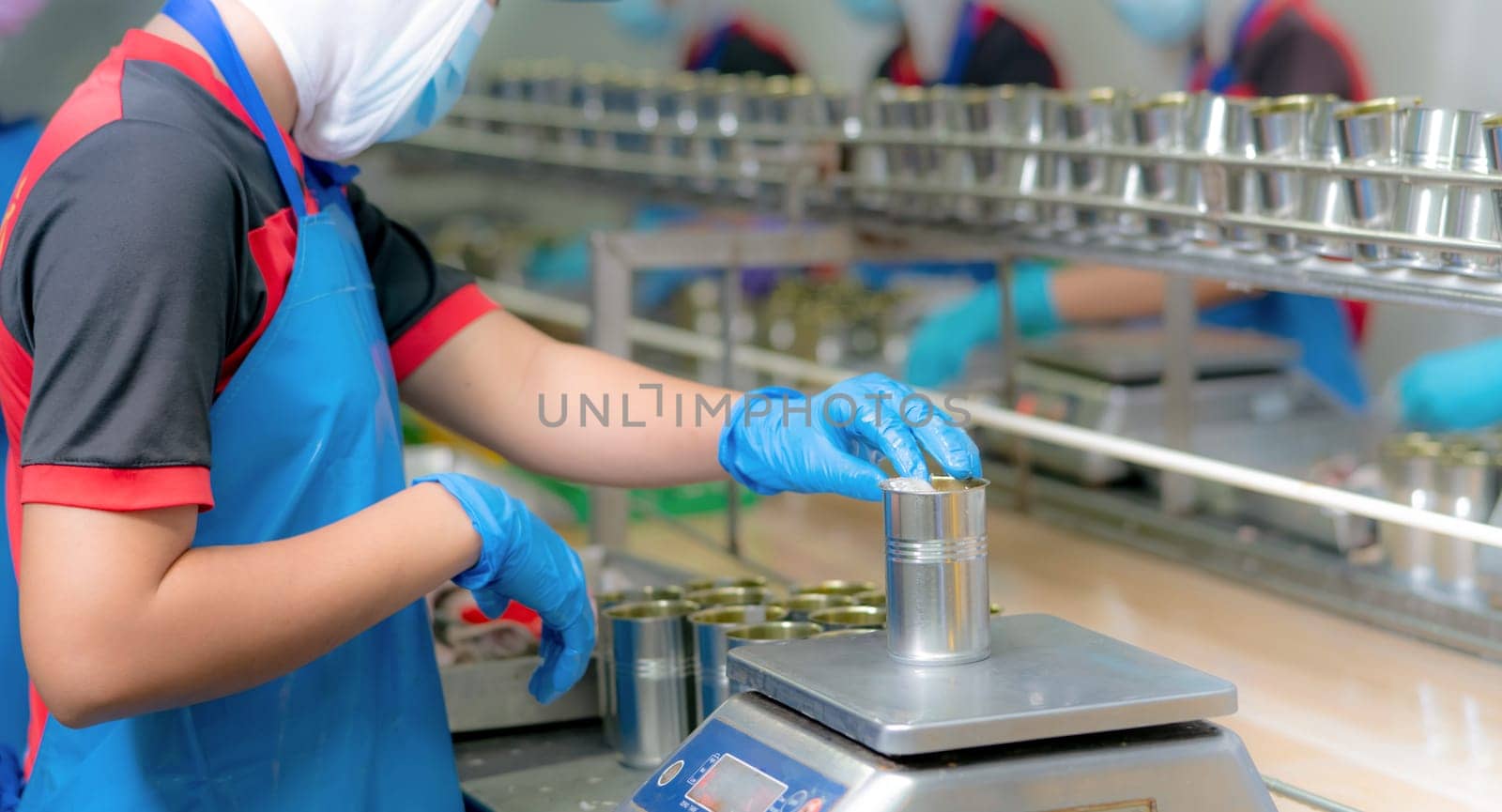 Worker working in canned food factory. Food industry. Canned fish factory. Workers weighing sardines in cans on a weight scale. Worker in food processing production line. Food manufacturing industry.