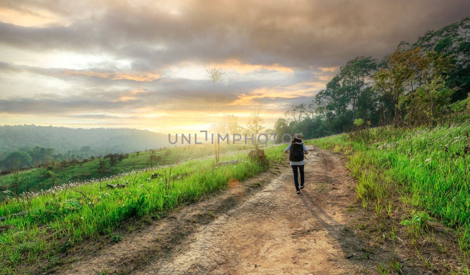 Rearview of relaxed woman walking on road in meadow field to travel in nature with morning sunlight sky. Rural scene. Outdoor activity in summer vacation. Landscape of green grass field and mountains. by Fahroni