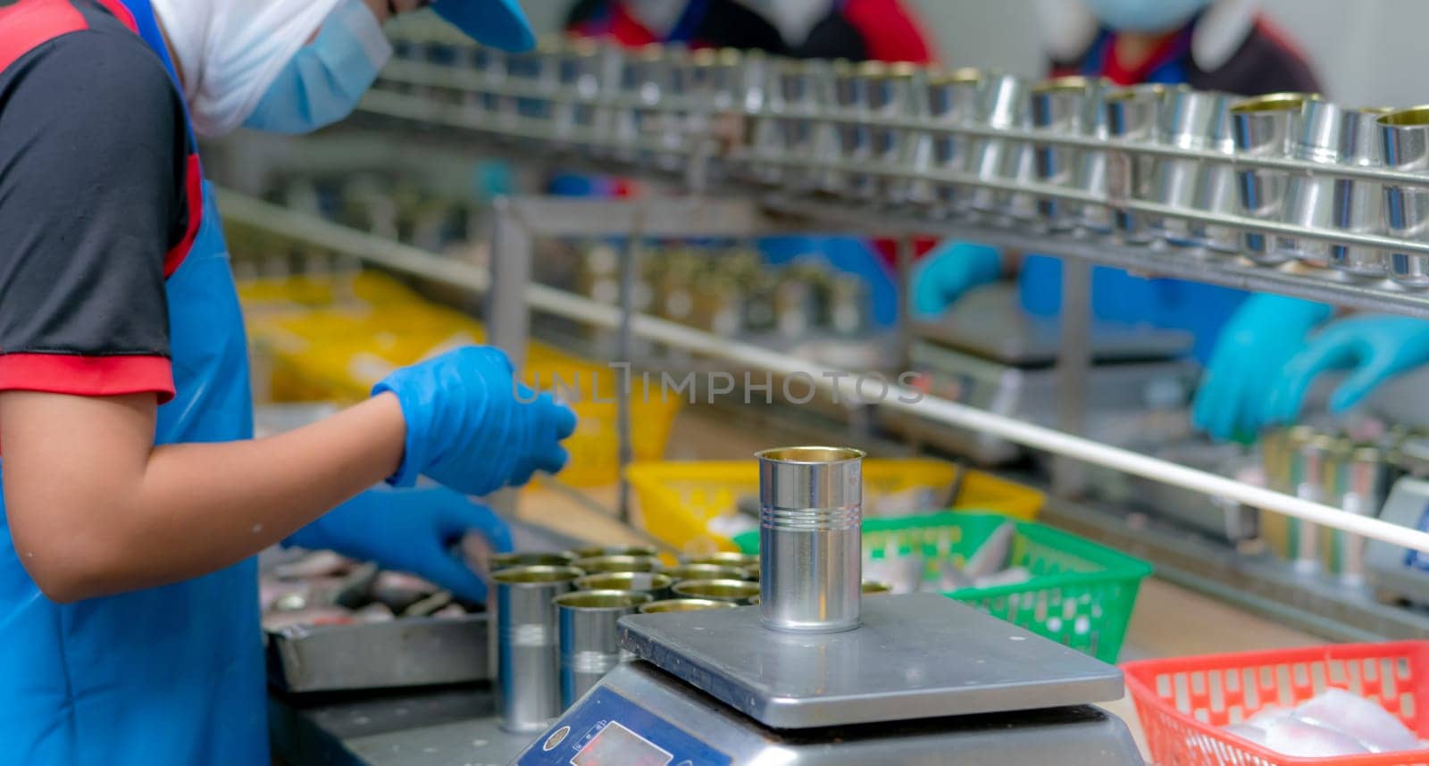 Worker working in canned food factory. Food industry. Canned fish factory. Workers weighing sardines in cans on a weight scale. Worker in food processing production line. Food manufacturing industry. by Fahroni