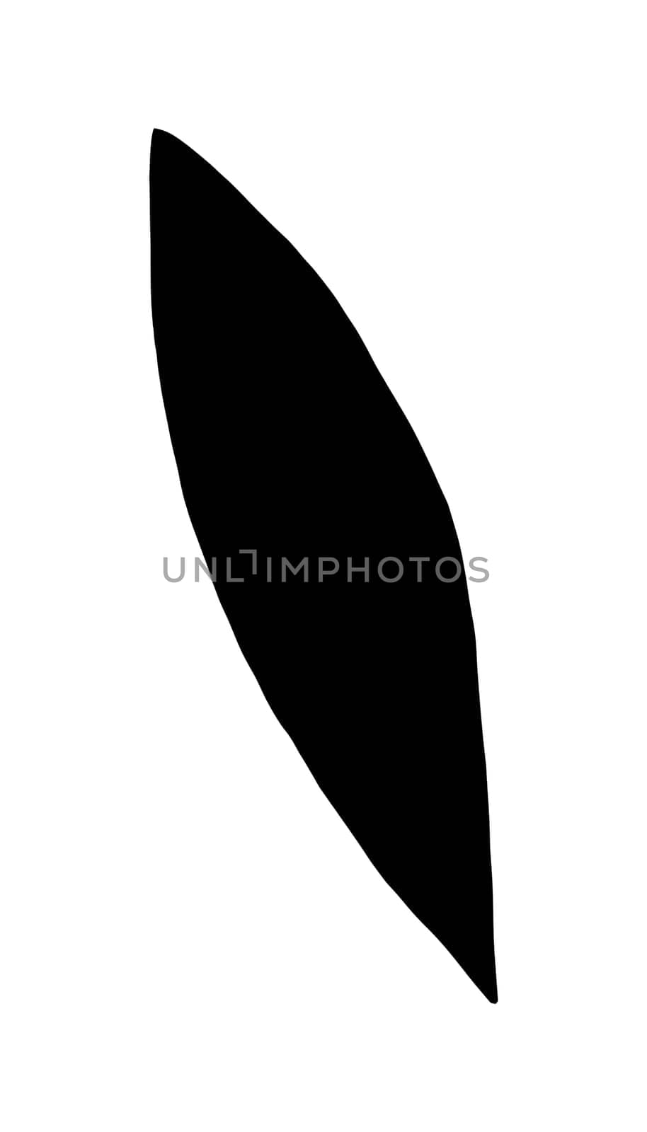 Hand Drawn Flower Leaf Silhouette. Black Floral Leaf Illustration. Plant Silhouette Isolated on White Background.