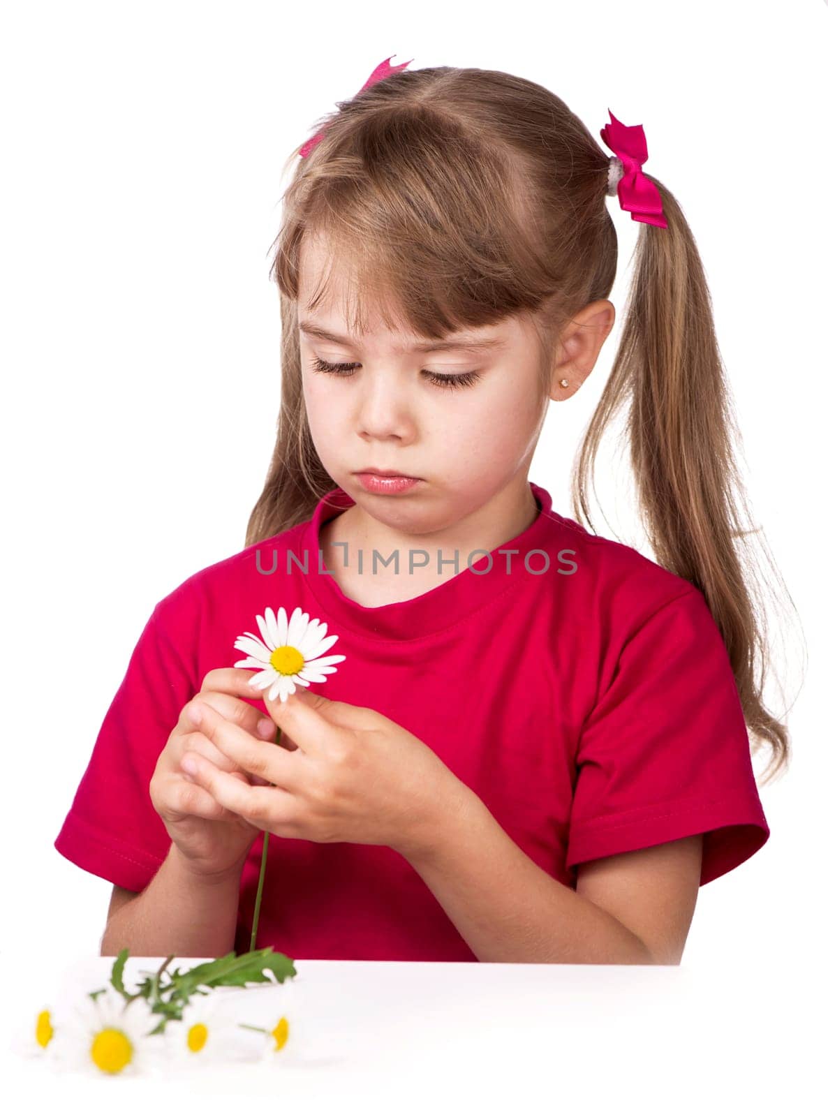 Portrait of a little blonde girl with bows in a pink t-shirt with a camomile flower on a white background by aprilphoto