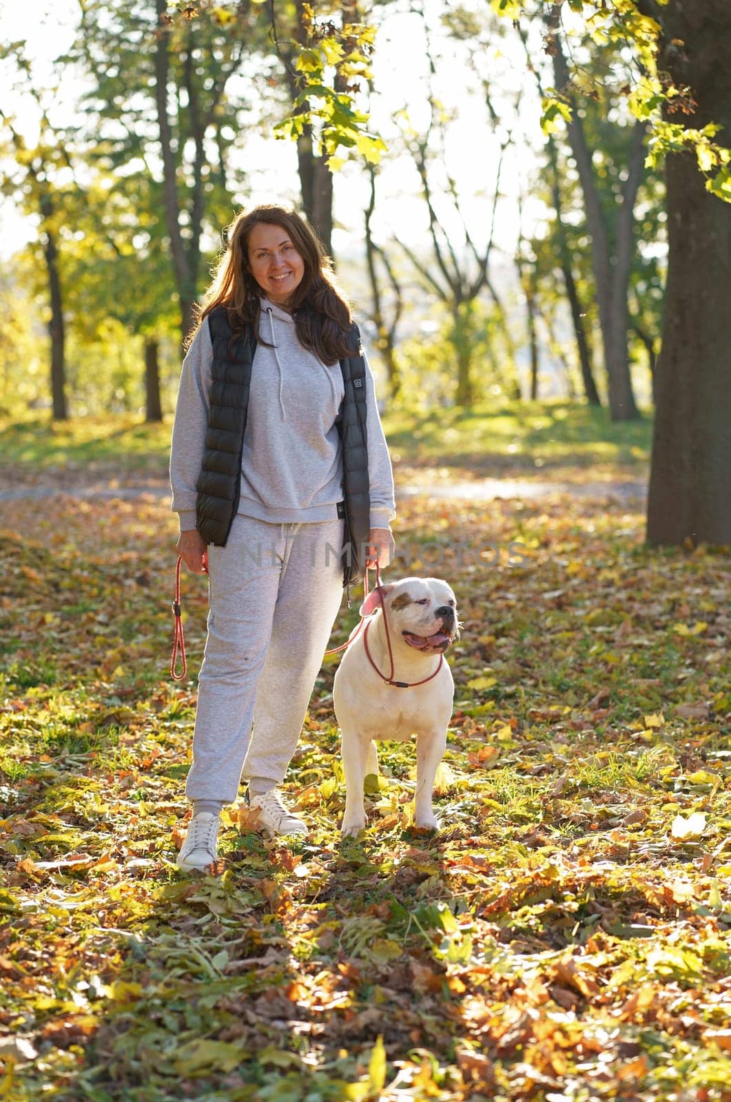 the dog plays with the mistress in the park. Close-up of a woman in a jacket and an American bulldog dog playing among the yellow autumn leaves in the park by aprilphoto