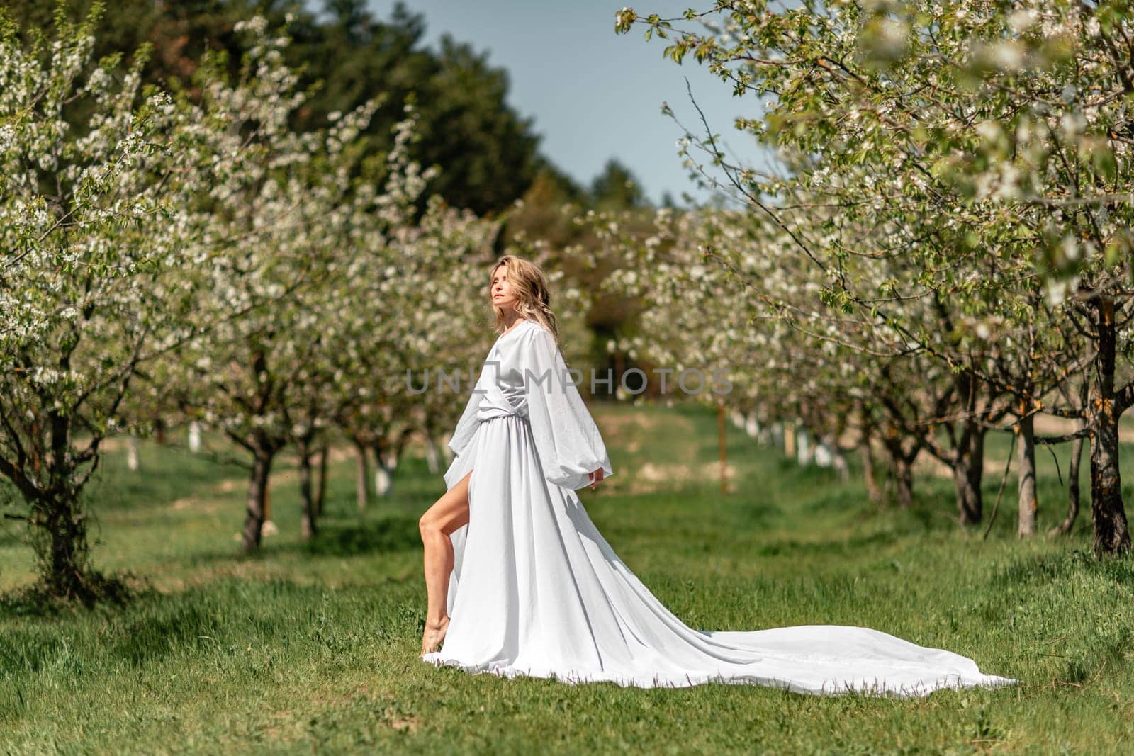 Blond blooming garden. A woman in a white dress walks through a blossoming cherry orchard. Long dress flies to the sides