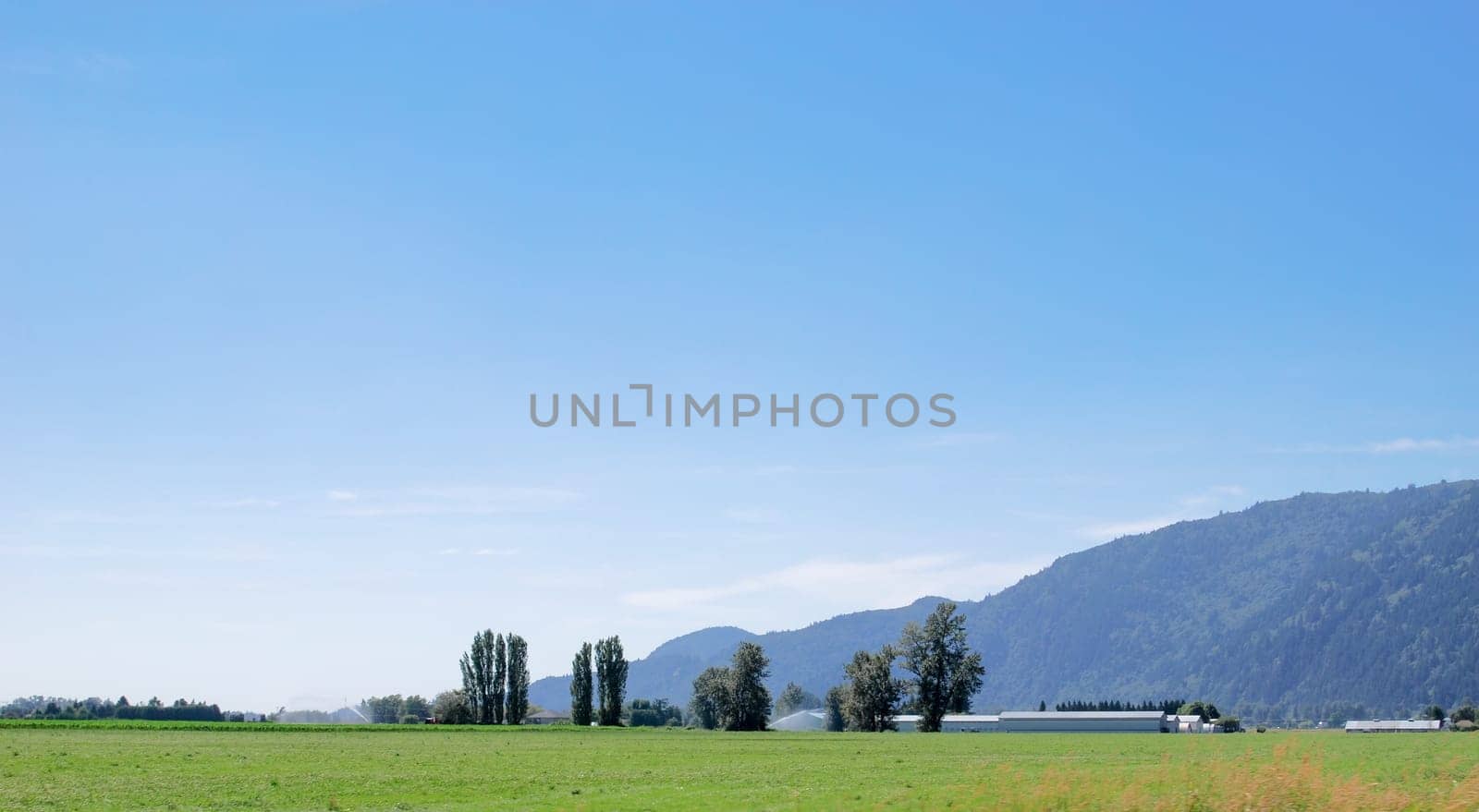 Farm fields in Fraser valley on bright summer day by Imagenet