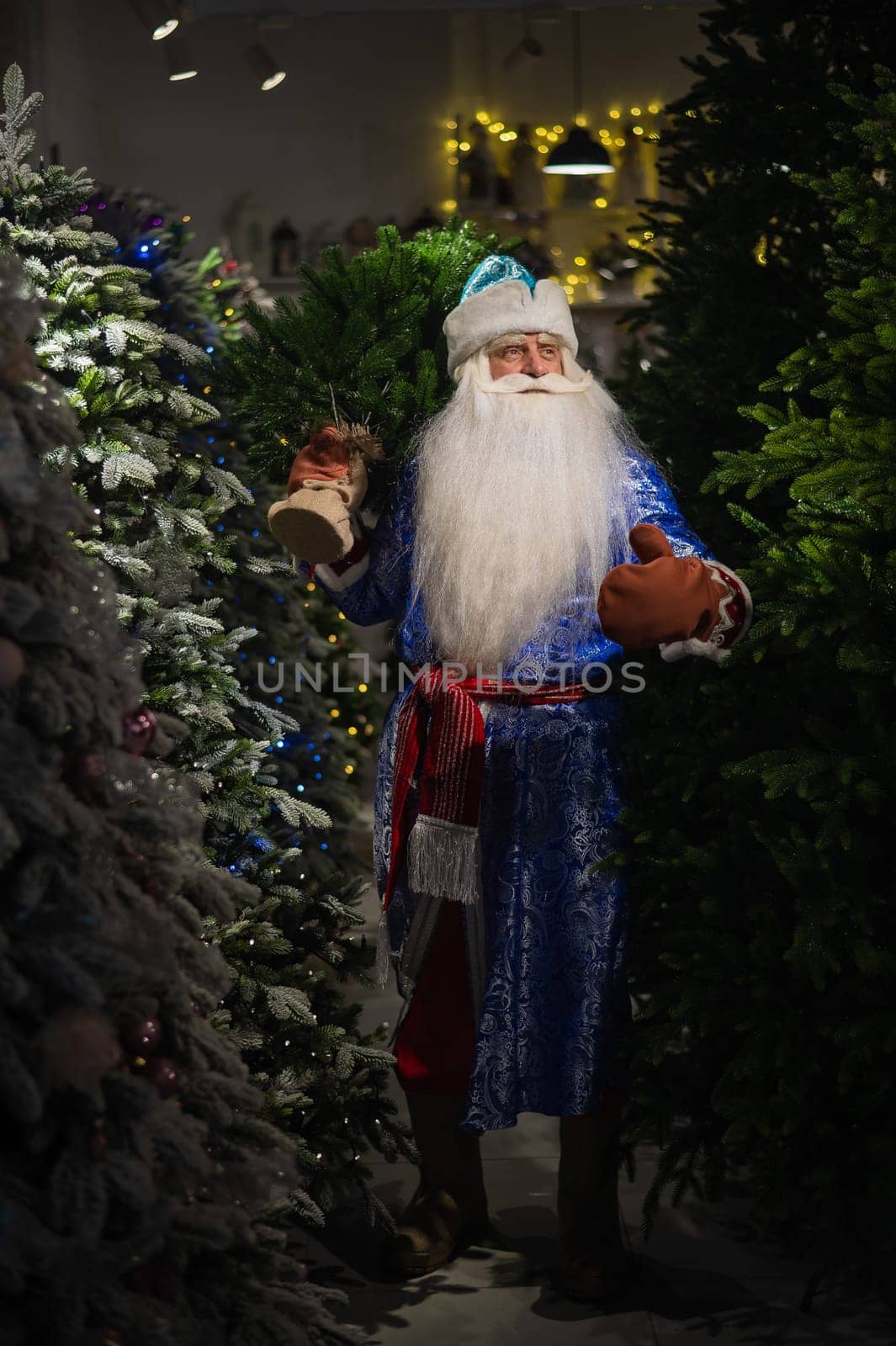 Russian Santa Claus in the store of artificial Christmas trees