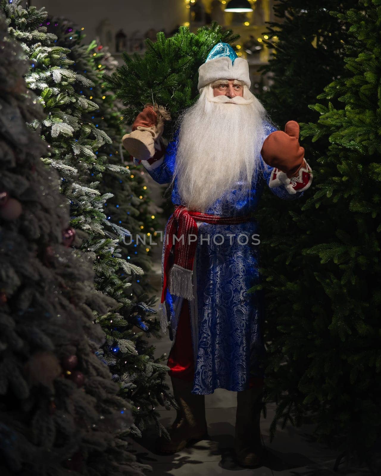 Russian Santa Claus in the store of artificial Christmas trees