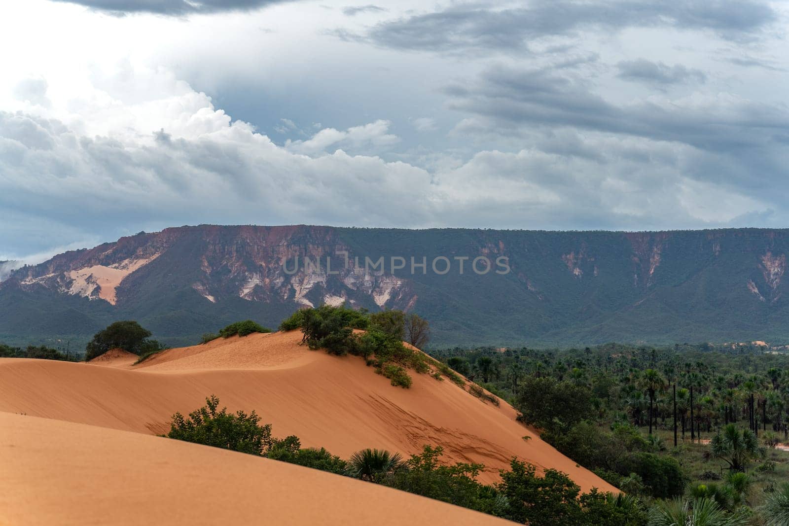 Take a journey through the unexplored parks of Jalapao. This isolated landscape showcases stunning sand dunes, dense jungles, towering mountains