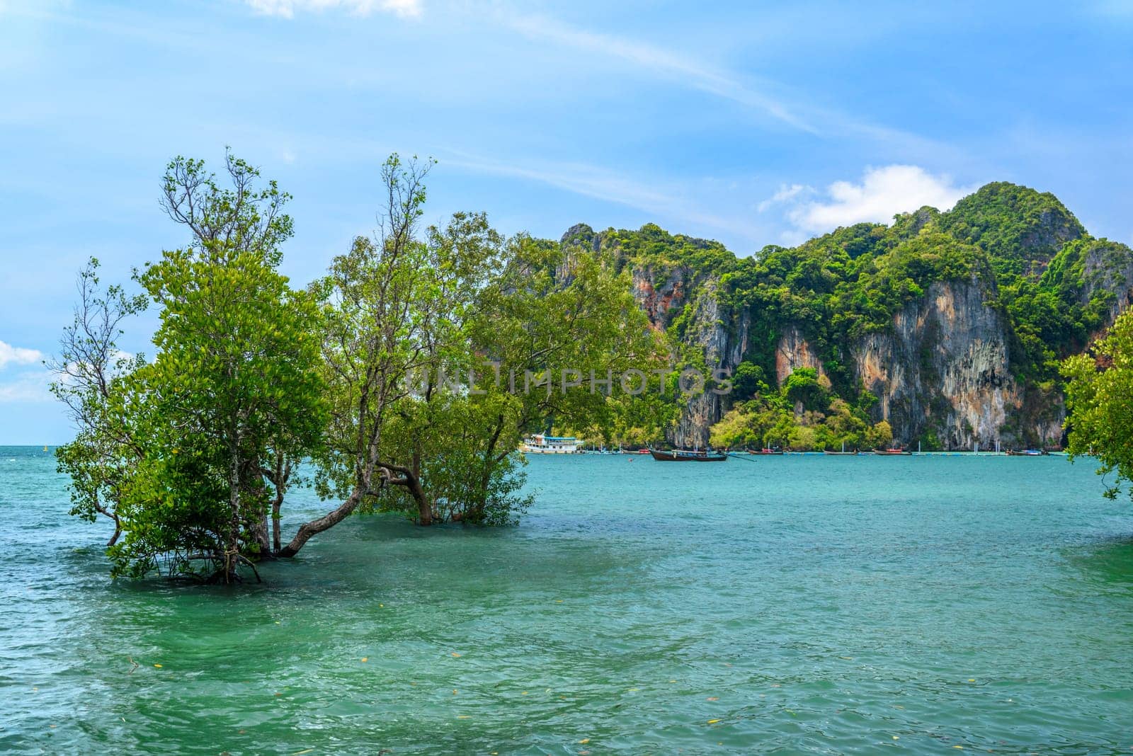 Tropical trees are growing in azure water with cliffs and rocks in the background, Ao Phra Nang Beach, Railay east Ao Nang, Krabi, Thailand by Eagle2308