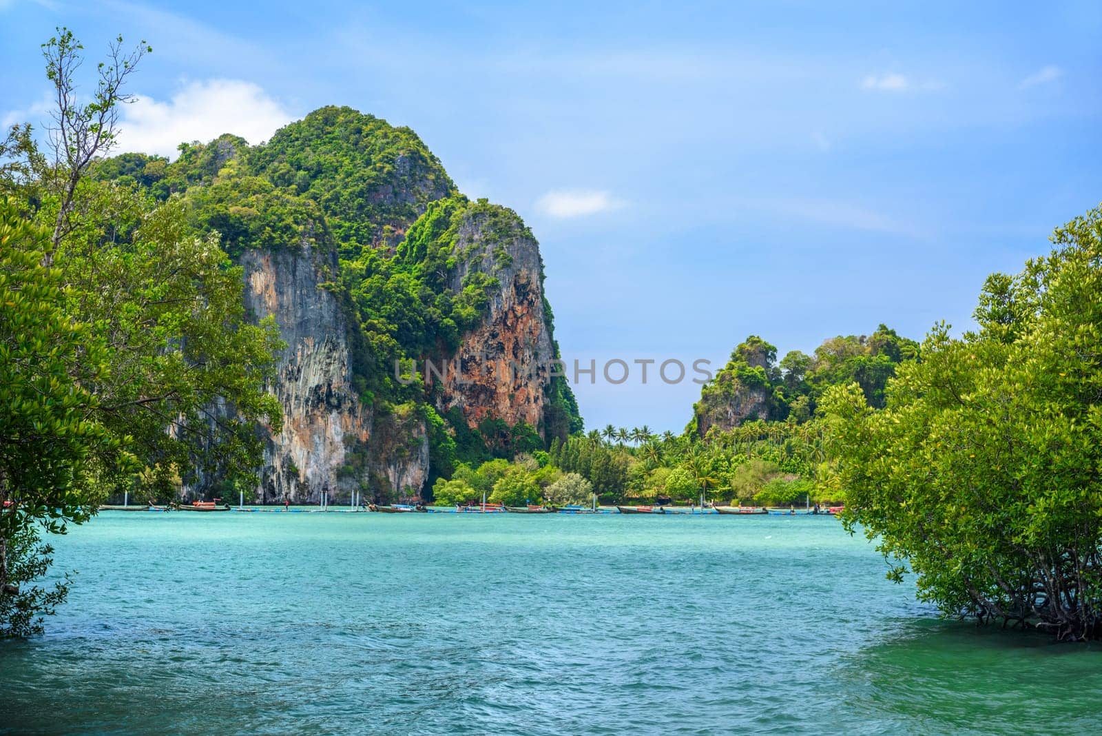 Tropical trees are growing in azure water with cliffs and rocks in the background, Ao Phra Nang Beach, Railay east Ao Nang, Krabi, Thailand.