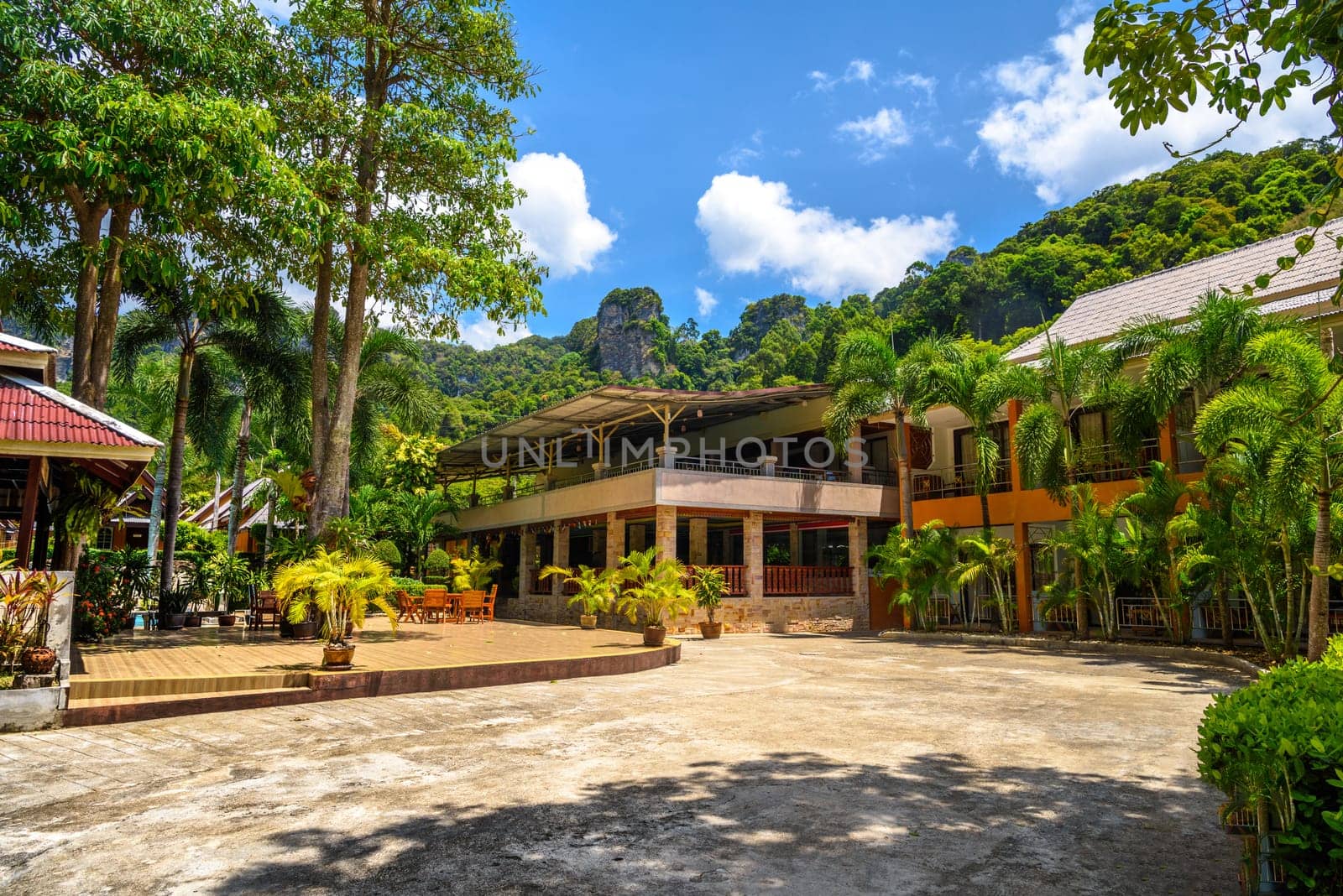 Houses and different palms in the village on Railay beach west, Ao Nang, Krabi, Thailand by Eagle2308