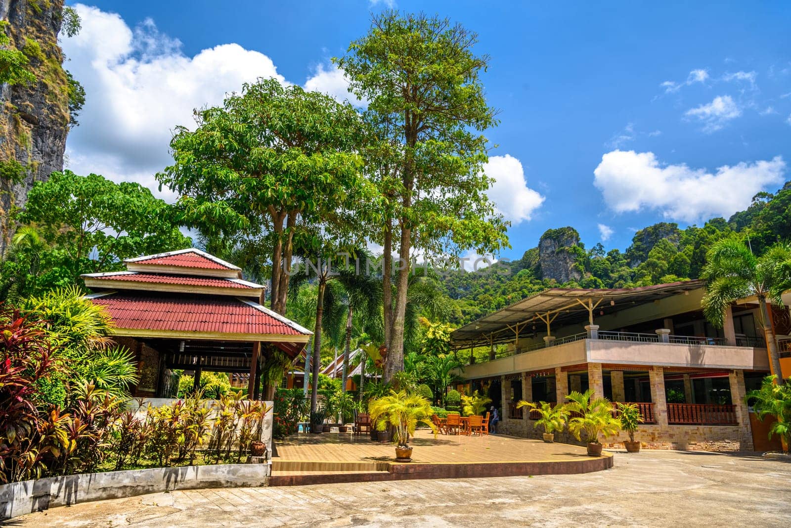 Houses and different palms in the village on Railay beach west, Ao Nang, Krabi, Thailand by Eagle2308